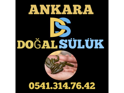 ANKARA MAMAK SÜLÜK SATIŞI Toptan ve Perakende Sülük Satışı